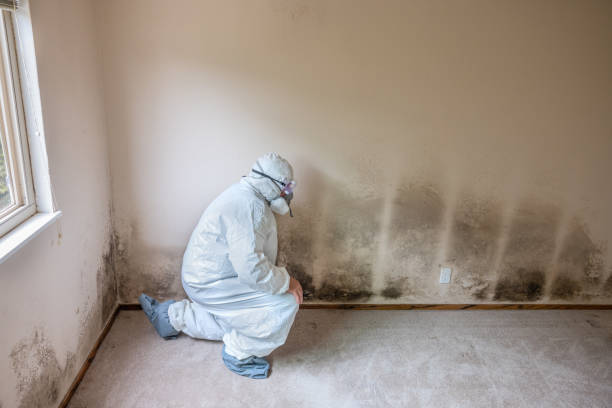 Best Professional Mold Removal  in Eagle Point, OR